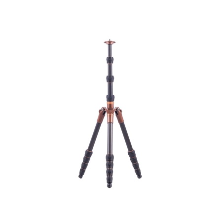 3 Legged Thing E3BRIAN: Picture 1 regular