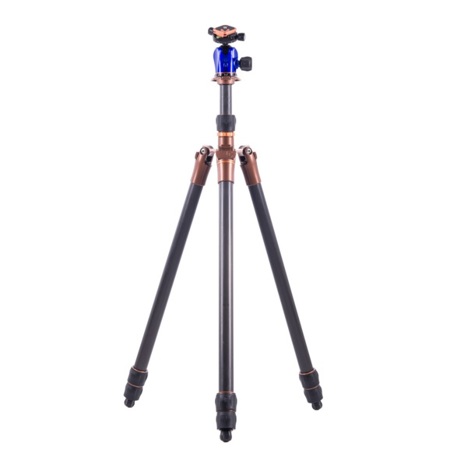 3 Legged Thing Evolution 3 Steve: Picture 1 regular