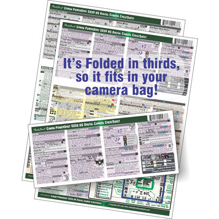 PhotoBert : Picture 1 regular