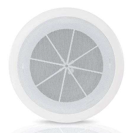 Pyle : Picture 1 regular