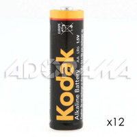 Kodak AA Batteries, 1.5 volt Alkaline, Pack of Twelve.