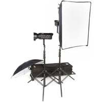 Bowens Gemini 250R/250R Umbrella/Softbox Travelpak Kit, with Two 250 watt Second Monolights, Umbrellas, Softbox, Stands & Rolling Carry Bag
