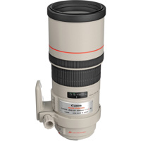 Canon EF 300mm f/4L IS USM Image Stabilizer AutoFocus Telephoto Lens with Case & Hood - USA