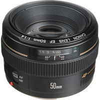 Canon EF 50mm f/1.4 USM Standard AutoFocus Lens - Gray Market