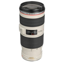 Canon EF 70-200mm f/4L IS USM Autofocus Telephoto Zoom Lens, Gray Market
