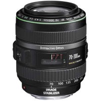 Canon EF 70-300mm f/4.5-5.6 DO IS USM Autofocus Telephoto Zoom Lens - Gray Market