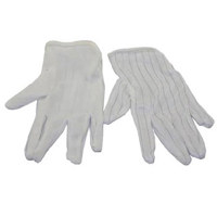 Leland Power Clean Anti-static Gloves, Set of 2 in Large Size