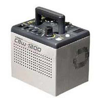 Comet CBW1200 Compact 1200 Watt Second Symmetrical and 1:2 Asymmetrical Power Pack with 2 Outlets.