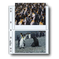 Print File Archival Photo Pages Holds Four 5" x 7" Prints, Pack of 25