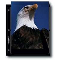 Print File Archival Photo Pages Holds Two 8" x 10" Prints, with Black Background Pack of 25