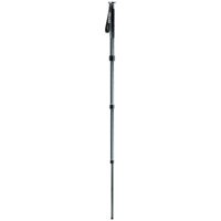 Gitzo GM2541 Series 2 Mountaineer Carbon Fiber Monopod, Maximum Height 63"
