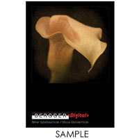Bergger 8.5" x 11" Inkjet Paper Sample Suite, 20 Sheets Total, 5 each of PN32, PN33, PN61 & PN62 Papers.