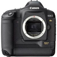 Canon EOS-1Ds Mark II Digital SLR Camera Kit, 16.7 Megapixels, Interchangeable Lens.