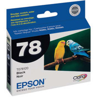 Epson Black Ink Cartridge for the Stylus Photo R380, R260, and RX580 Inkjet Printers.