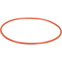Ikelite O-Ring for the Video Housings DC572 & DC200