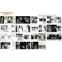 Dg Foto Art Galleria Wedding, Wedding Vol.-2, Creative Plug-in Software for Dg Foto Art Lite, Classic, Gold or DeZigner Series, for Windows XP & 2000.