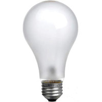 ECA PhotoFlood Lamp 250w 120v (3200k)