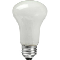 Novatron 100 Watt Tungsten Modeling Lamp.