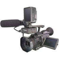 Panasonic AG-DVC30 1/4" 3-CCD Camcorder with Infrared Nighttime Shooting System & Firewire Interface with Extra High Power Battery & Case