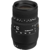 Sigma 70-300mm f/4-5.6 DG Macro Tele Zoom Lens for Canon EOS Cameras