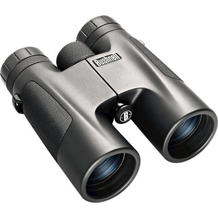 Bushnell 10x42mm Powerview Weather Resistant Roof Prism Binocular with 5.5 Degree Angle of View, Black,