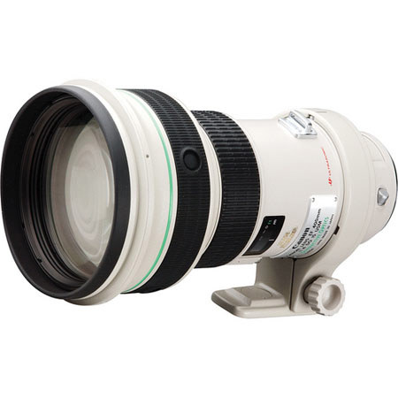 Canon EF 400mm f/4L DO IS USM Lens (Multi-layer Diffractive Optical Elements), Image Stabilized USM AutoFocus Lens with Case, Hood & 52mm Gel Holder - Grey 