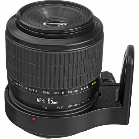 Canon MP-E 65mm f/2.8 1-5x Macro Photo Manual Focus Telephoto Lens - USA