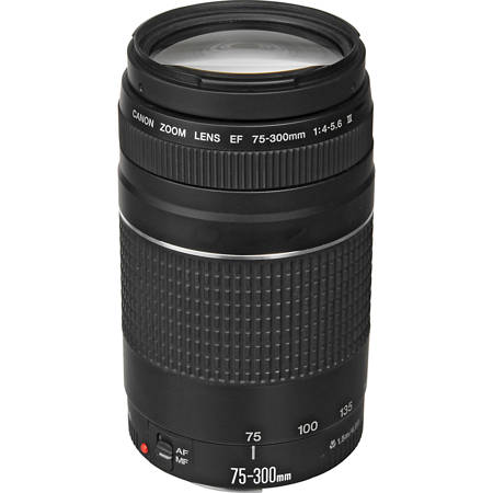 Canon EF 75-300mm f/4.0-5.6 III Autofocus Telephoto Zoom Lens - USA image