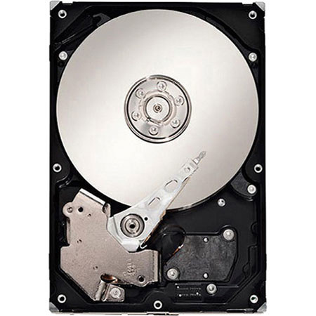 CalDigit 2TB Bare SATA Drive for RAID Card, 3.5" Drive