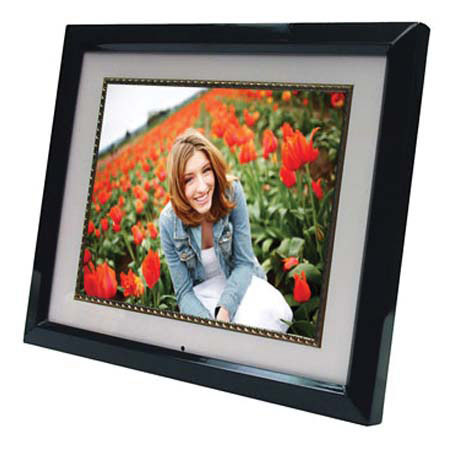 Digital Spectrum MemoryView MV-1500, 15