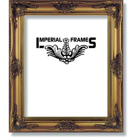 Imperial Frames Elite, Wood Picture Frame for a 16" x 20" Photograph, Color: Gold with Dark Gold Accents image