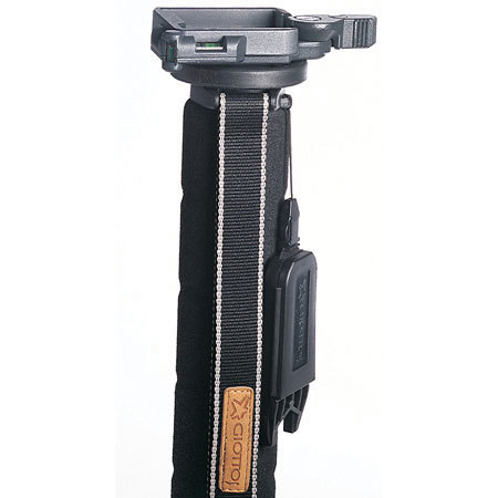 Giottos MV-8250 3-section Aluminum Pro Monopod with Built-in Q.R. Pan/Tilt Head image