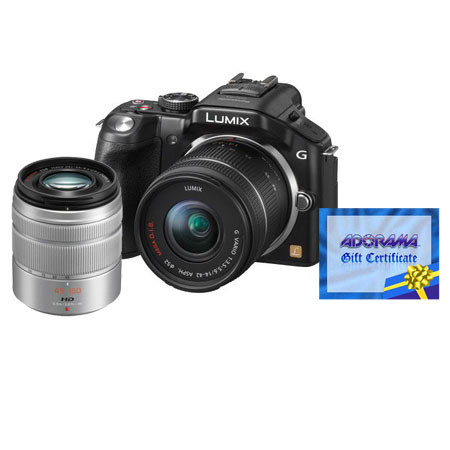 Panasonic Lumix DMC-G5 Camera Black with Lumix G 14-42mm/F3.5-5.6 Black Lens - Bundle - with Panasonic LUMIX G 45-150mm f/4.0-5.6 SILVER Lens, and Adorama $100.
