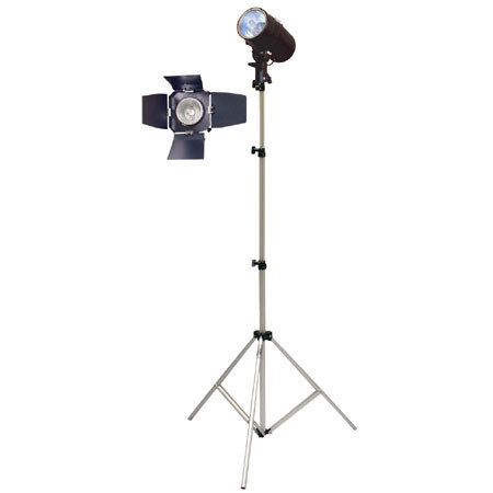 Savage Basic Studio Softbox Photo Lighting Kit with S-100 Studio Monolight Flash, 20" x 28" Softbox &amp; 10' Aluminum, Air-Cushioned Lightstand image