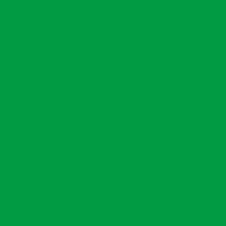 Westcott Muslin Sheet Background, 10' x 12', Chroma-Key Green image