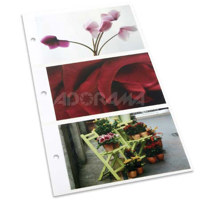 Adorama 4x6" 3-up Proof Album Refill Pages, Pack of 25.