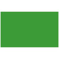 Adorama Seamless Background Paper, 53" wide x 12 yards, Veri-Green, #31