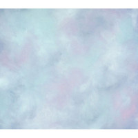Studio Dynamics Impressions Series 10' x 20' Muslin Background, Taboo.