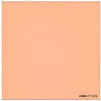 Cokin Series P Orange Convertion/Warming Filter 85A