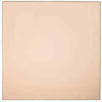 Cokin Series P Champagne Filter