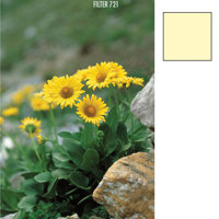 Cokin Yellow Color Correction Filter (CC10Y) X-Pro Series