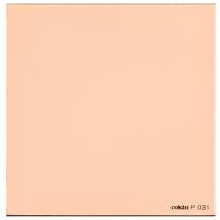 Cokin Series P Orange Convertion/Warming Filter 85C