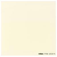 Cokin Series P Yellow Color Correction Filter CC20Y