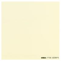 Cokin Series P Yellow Color Correction Filter CC30Y