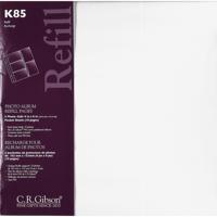 C.R. Gibson Pocket Style Refill Pages Holds Five 4x6" Photos per Side, fits the P45 Series Photo Albums, Pack of 5