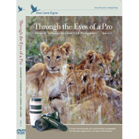 Blue Crane Digital DVD: Through the Eyes of a Pro - Advanced Techniques for Nikon DSLRs - Volume 2 image