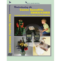 Blue Crane Digital DVD: Understanding the Canon Speedlite 580EX / 430EX image