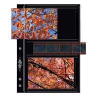 Print File BLK35-4M, Premium Black M-Series Album Pages, Holds Four 3-1/2" x 5" Prints & One Strip of Four 35mm Negatives, Pack of 25.