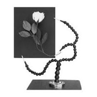 Delta 1 Grip It Dual Arm, Triple Clamp image