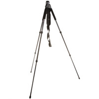 Giottos MT-8250, 4 Section Carbon Series, Universal Tripod Legs, Supports up to 5 Kg, Maximum Height 59.8", Black